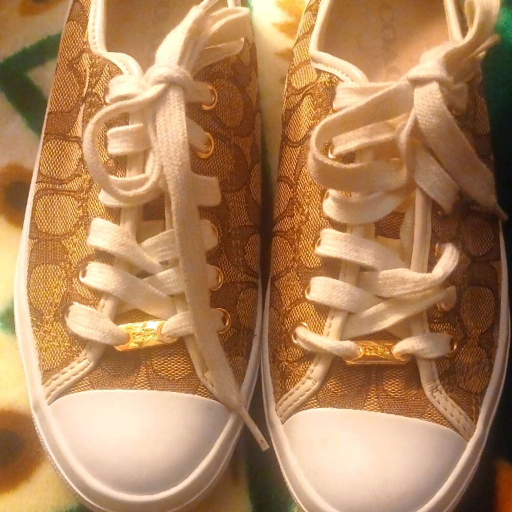 Coach logo canvas gym shoes
